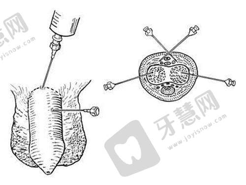 沈阳丽格整形医院地址及乘车路线
