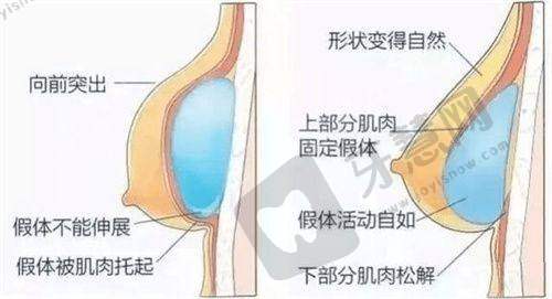 北京丰联丽格师丽丽医生的技术优势
