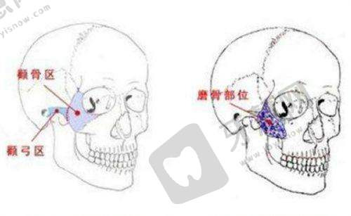 孙湄扬医生预约挂号