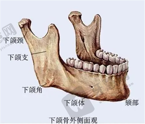 北京美莱整形美容医院医生简介
