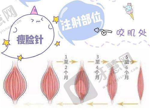 富秋涛医生的坐诊医院详情