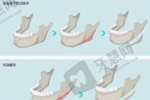 温州致臻颐和医疗美容诊所预约挂号方式：