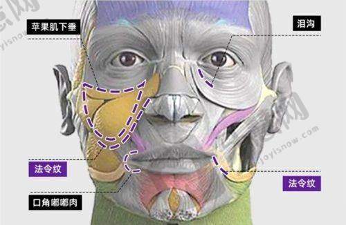 孟辉医生皮肤抗衰的口碑评价及反馈内容