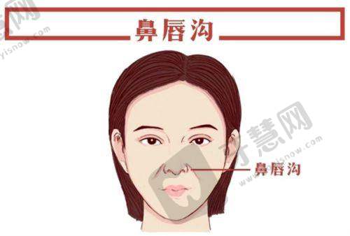 上海和睦家医院（静安院区）医疗美容科收费价格表/收费标准