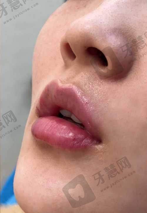 张玫医生的执医荣誉