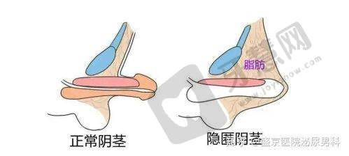 北京童颜塑美医疗美容诊所价格表