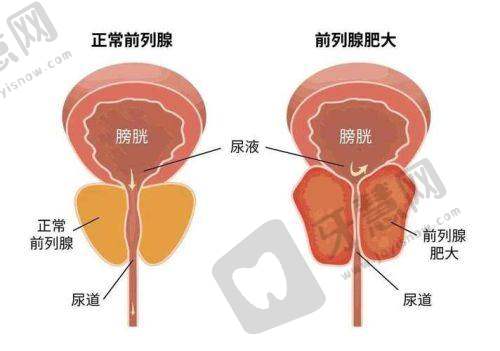 北京美莱医疗美容门诊部价格表