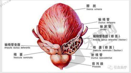 北京童颜塑美医疗美容诊所项目特色