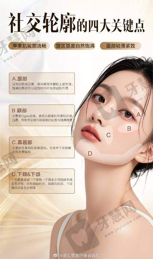 赖琳英医生擅长的整形项目