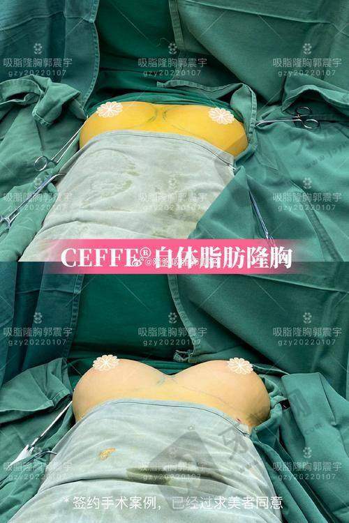 徐向民医生的执医荣誉展示