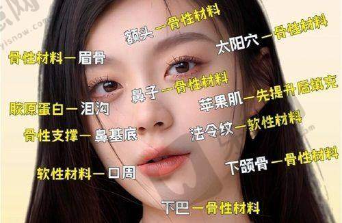 2025 壹加壹整形价格表之项目综合分析