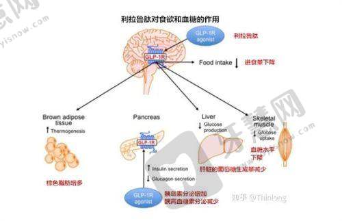宝鸡市人民医院抽脂技术特色