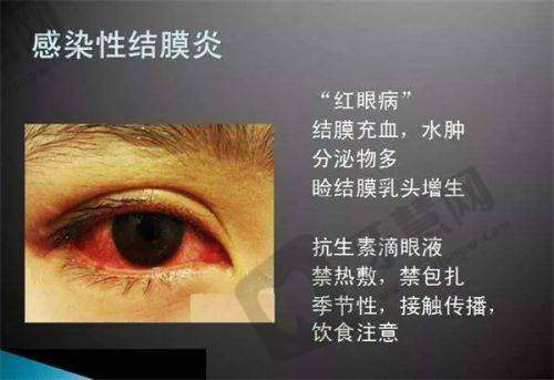 北部战区总医院（浑南分院）眼科地址