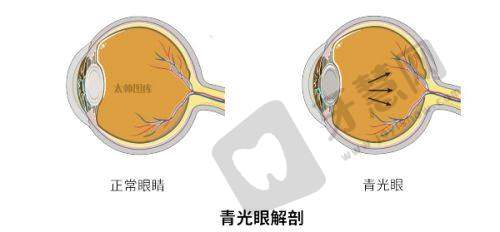 复旦大学附属中山医院青浦分院眼科收费价格表/收费标准