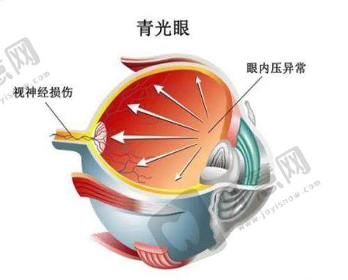 复旦大学附属中山医院眼科详细的预约挂号方式及流程