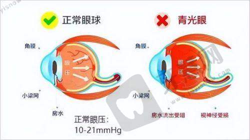 复旦大学附属中山医院眼科地址电话营业时间