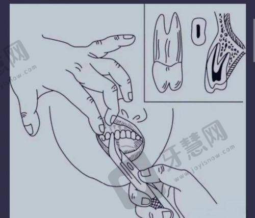 辽宁沈阳德立联合口腔医院诊疗项目