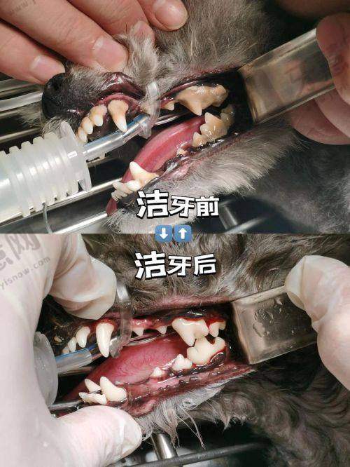东莞黄江莞口口腔门诊地址电话