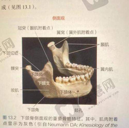 江苏徐州牙知道口腔连锁地址电话