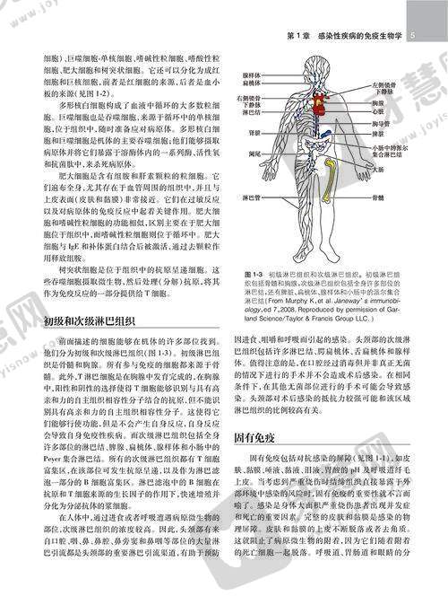 江苏徐州睢宁牙百佳口腔门诊部地址电话