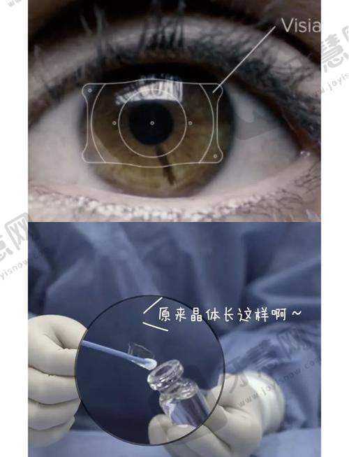 严素清医生执医荣誉