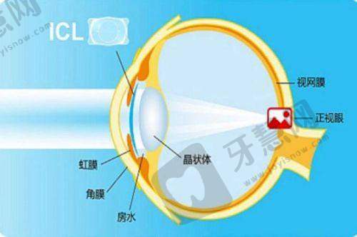 熊瑛医生执医荣誉