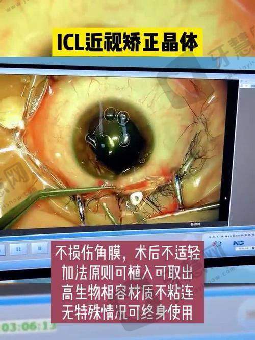 莫衍医生执医荣誉：资质认证与行业认可