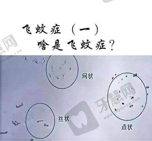 卓彦伶医生擅长项目