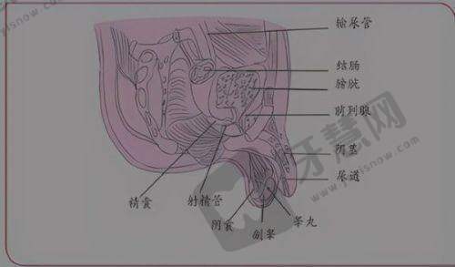 北京美莱超声炮相关情况探讨