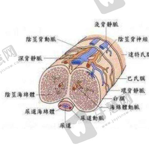 合肥整形医院排名前3哪三家之合肥维多利亚整形外科医院