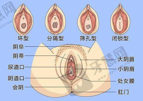 宁波珈禾医疗美容门诊部地址电话营业时间
