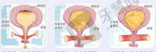 沈阳友谊美容医院是国有的吗?
