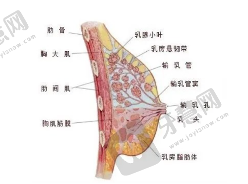 南京哪家医院做双眼皮更好的医院之南京华美