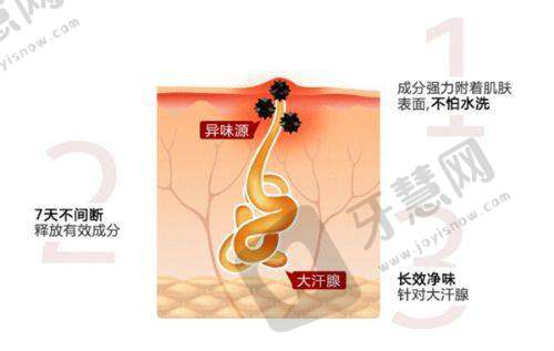 上海颜净杨建国医生动态表情管理注射技巧