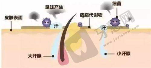南宁自体脂肪填充医院哪里好——医生优势对比