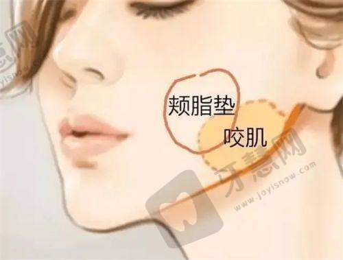 宁波珈禾医疗美容门诊部特色项目及技术优势