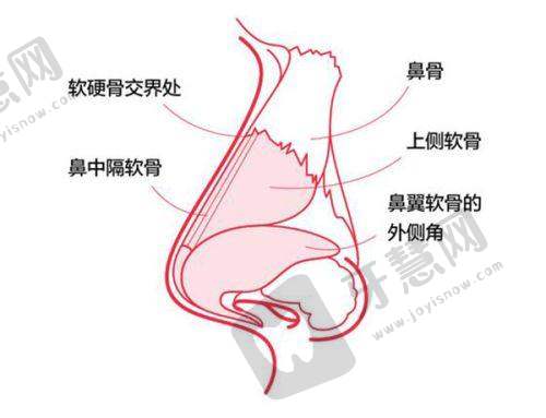 上海长海医院整形外科收费价格表/收费标准