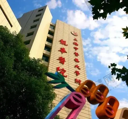 上海中医药大学附属龙华医院