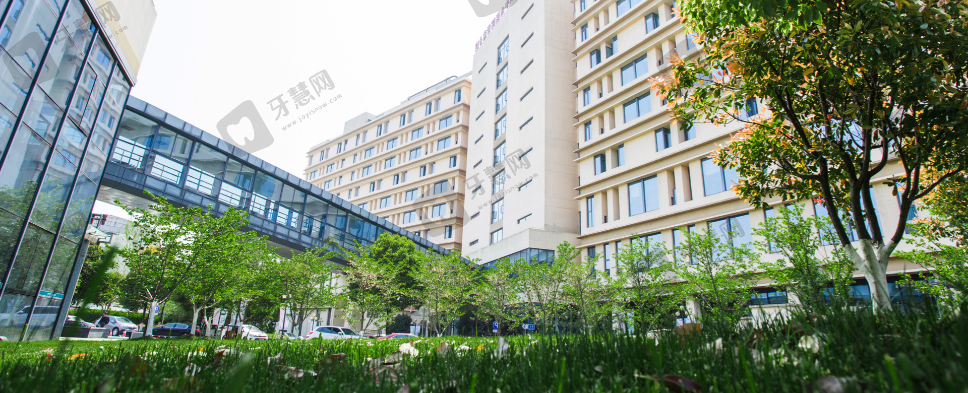 复旦大学附属中山医院青浦分院眼科