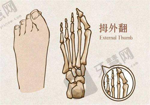 石家庄美兔医疗美容门诊部诊疗项目：
