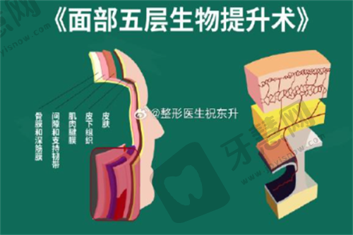 大连未莱医疗美容门诊部地址电话营业时间