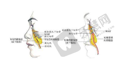 大连美天医疗美容医院收费价格表/收费标准