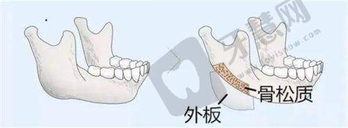 石家庄蓝山医疗美容医院口碑评价：