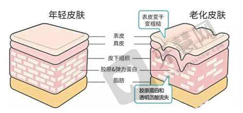 五、如何根据南宁华美整形美容医院价格表选择项目