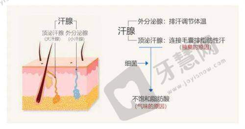 石家庄美兔医疗美容门诊部预约挂号方式：