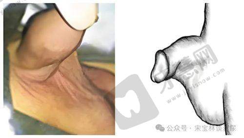 天津伊美尔医疗整形医院地址电话营业时间