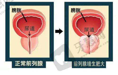 济南星氧医疗美容门诊部地址电话营业时间