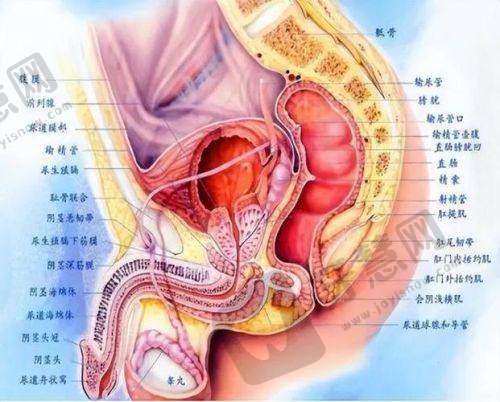 上海健丽医疗美容门诊部真人口碑评价怎么样？