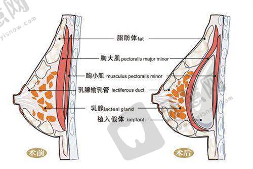 南宁梦想医疗美容门诊部医生介绍：