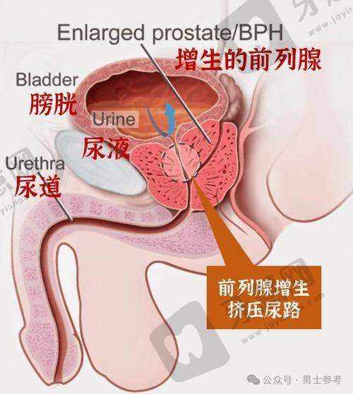 深圳健丽医疗美容门诊部价格表